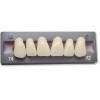 Dents artificielles pour dentier et appareil amovible