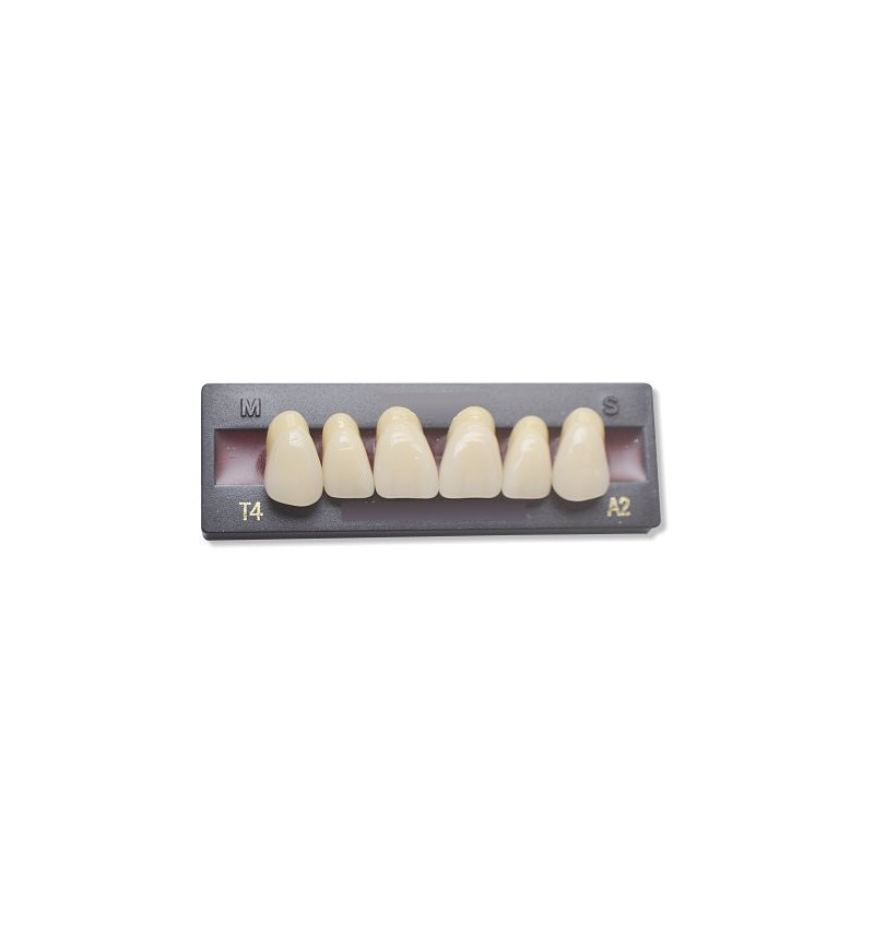 Dents pour appareil dentaire ou dentier, dent esthétique durable - Tout  Dentaire