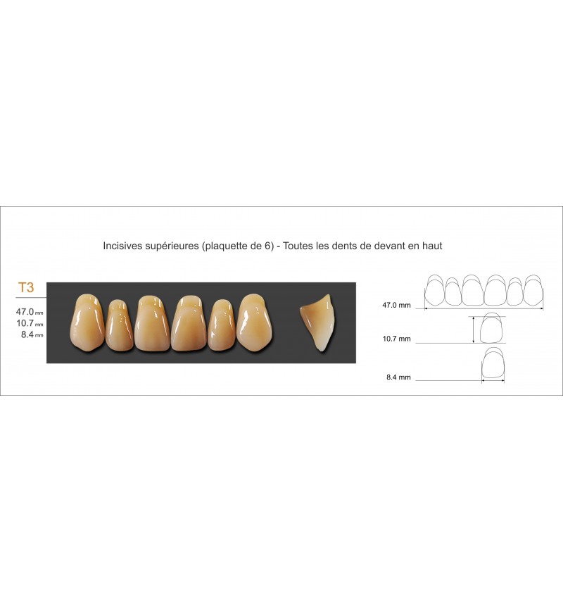 Dents artificielles pour dentier, appareil dentaire et stellite