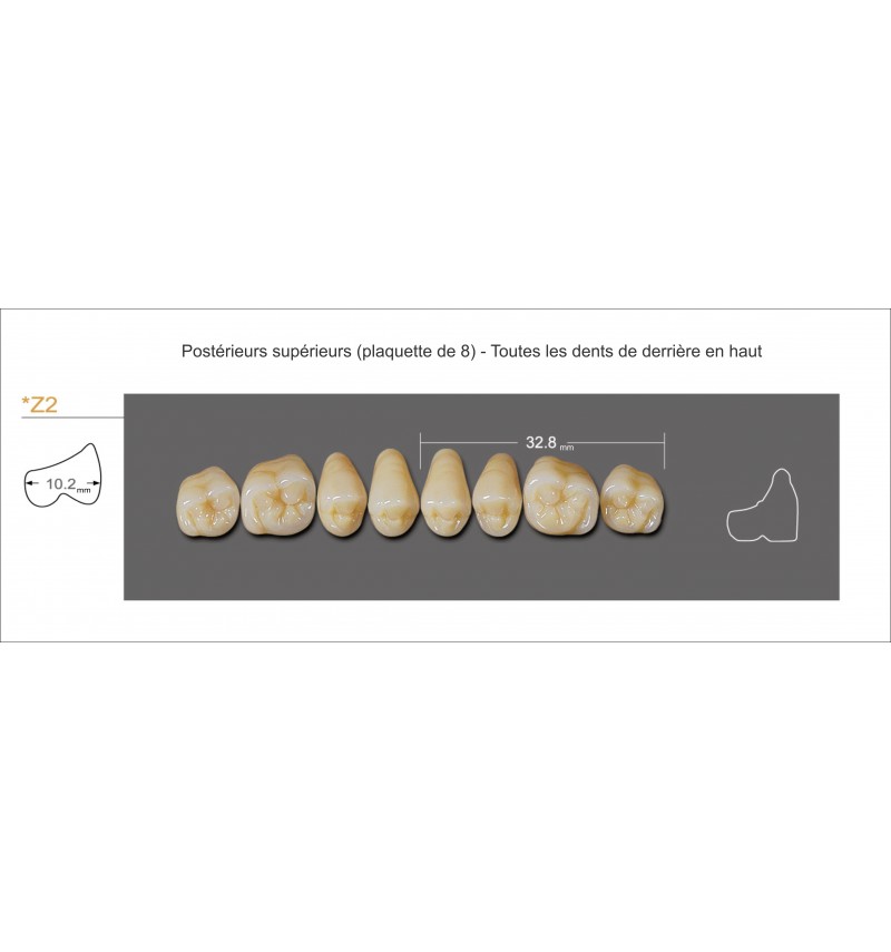 Dents artificielles pour dentier, appareil dentaire et stellite