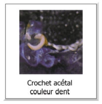 crochet prothèse amovible en acétal